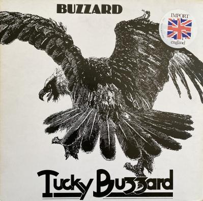 Buzzard