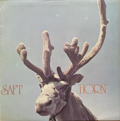 Horn