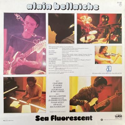 Sea Fluorescence