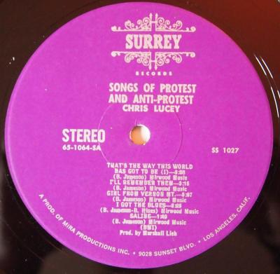 Songs Of Protest And Anti Protest