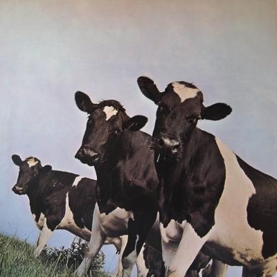 Atom Heart Mother