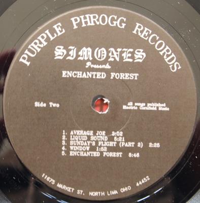 Enchanted forest